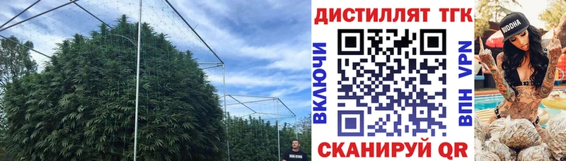цена наркотик  Ярославль  Дистиллят ТГК концентрат 