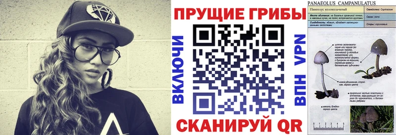 Псилоцибиновые грибы MAGIC MUSHROOMS  где можно купить наркотик  Ярославль 