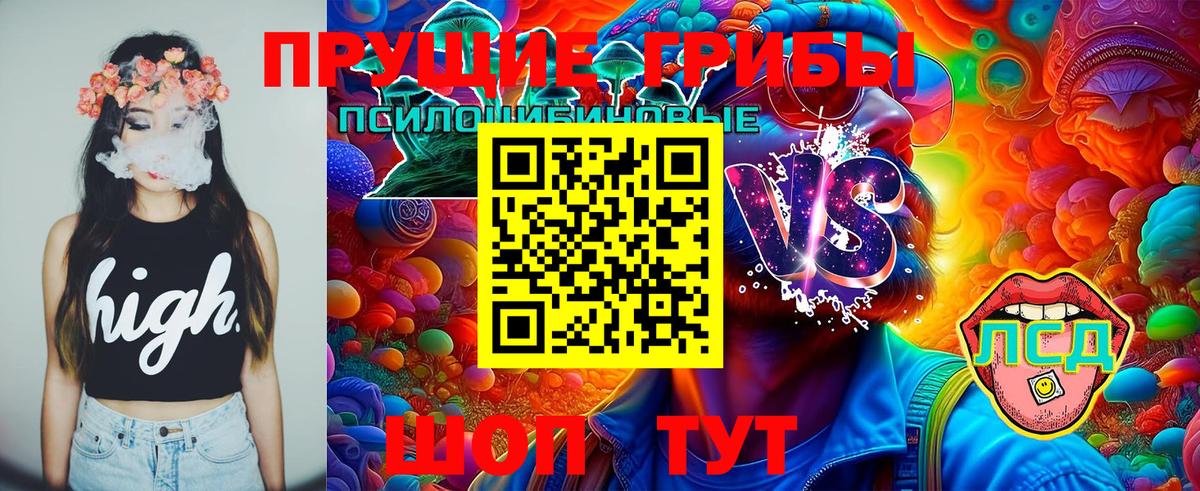 Галлюциногенные грибы Psilocybe Ярославль
