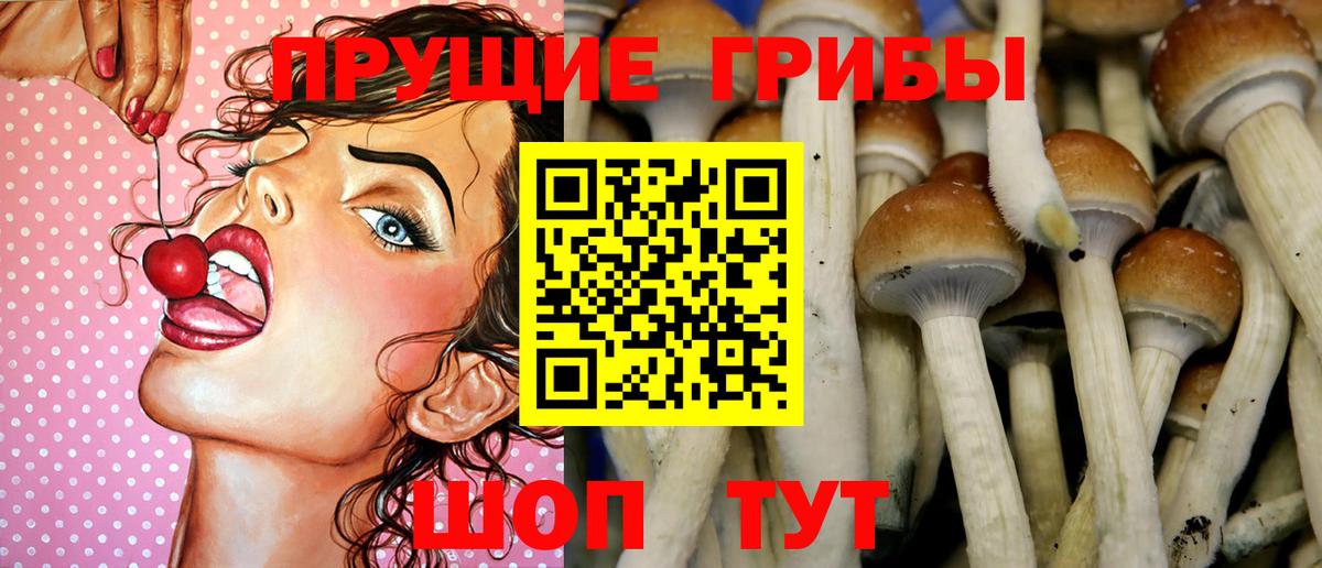 Галлюциногенные грибы ЛСД  Вход с VPN  Ярославль 
